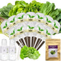 Salad Greens Seed Pod Kit for AeroGarden, iDoo, Ahopegarden, MUFGA with Red/Green Romain/American Fast/Buttercrunch/Parris Island Lettuce, Spinach - Compatible with All Garden (12-Pod) - color: salad greens, size: 12-pod
