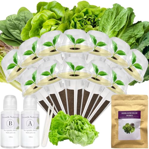 Salad Greens Seed Pod Kit for Hydroponic System– 12 Pods - color: Salad, size: 12-pod
