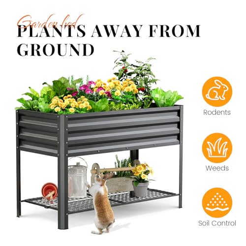 KING BIRD Large Raised Garden Bed with Legs & Storage Shelf 48×24×31.5 in