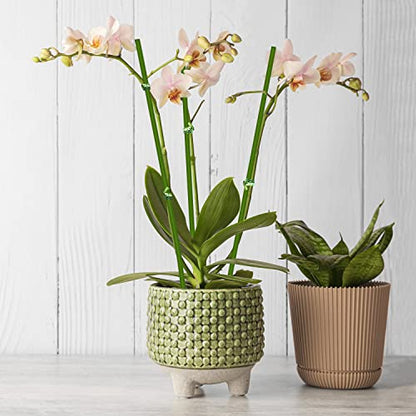 20Pcs Plant Stakes, 16IN Orchid Support Stakes for Indoor Plants - size: 16 Inches