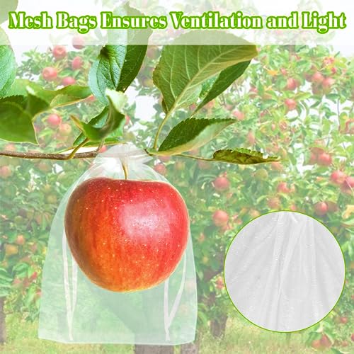Morcheiong 60pcs Reusable Netting Mesh Bags - 6" x 8", Garden Fruit Protection with Drawstring (White) (Pack of 2) - color: White, size: 60Pcs 6" x 8" (Pack of 2)