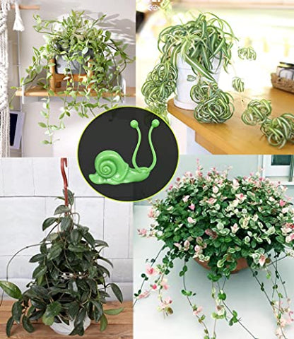 50PCS Plant Wall Clips: Vine Climbing Self-Adhesive Invisible Fixing Hook for Wall & Garden Decoration - size: snail