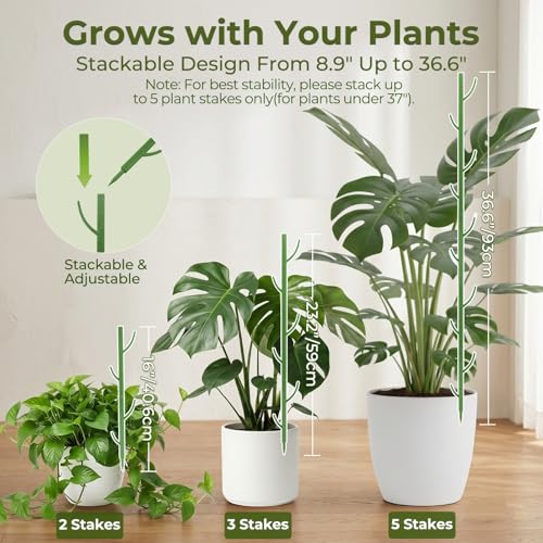 10-Piece Thick Plant Support Stakes: Stackable for Monstera Climbing Vines