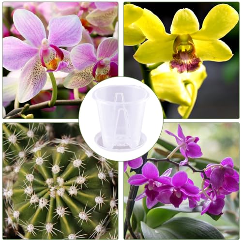 Orchid Pot 6 Pack 4.7 Inch Clear Nursery Pots for Plants with Drainage Hole - size: 4.7 Inch