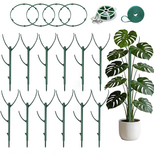 12-Pack Monstera Plant Support Stakes, 35" Stackable Plant Sticks for Climbing Vines, Trellis Poles with Plant Tape & Twist Tie for Plant Lover, Living Room, Indoor Outdoor Patio & Balcony Garden
