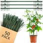 50 Pcs Adjustable Plant Stake Arm for Tomato Cage 11" Stake Connector