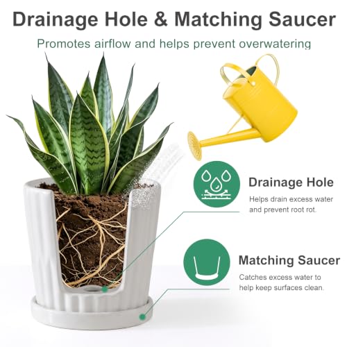 White 6 Inch Flower Pots for Plants,Ceramic Planter with Drainage Holes - color: White