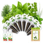 Herb Seed Pod Kit with Basil Mint Cilantro Mixed, Grow Anything Seed Starter Pod Kit for Hydroponics Growing System with Plant Food, Seeds Included Basil, Dill, Oregano, Chive (8-Pod-n) - color: Herb