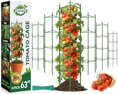 Halatool 6 Pack Tomato Cages for Garden, Up to 63 inch(5.2FT) - color: 6 Pack, size: 63 Inches
