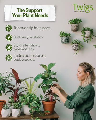 Stackable Monstera Plant Support Stakes, Monstera Dark Green, 5-Pack, 17" L - color: Monstera (Dark Green), size: Stackable (5 Pack)