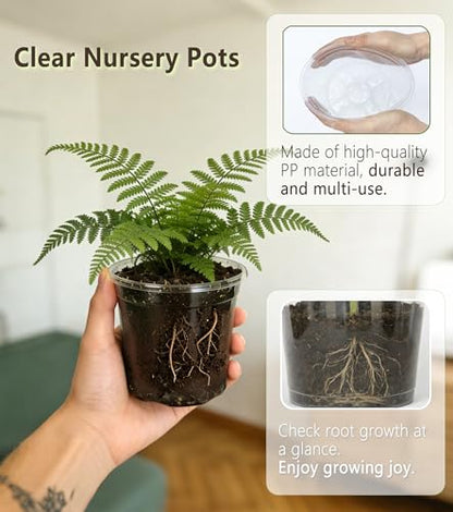 15-Pack Clear Nursery Pots with Drainage Holes (3/4/5 Inch) - color: Pots, size: 3/4/5"-15 sets