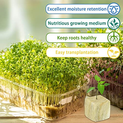 Legigo 1.2 Inch Rockwool Cubes Seed Starter Plugs for Hydroponics, 144Plugs - color: 4 Sheet, size: 1.2" Plugs