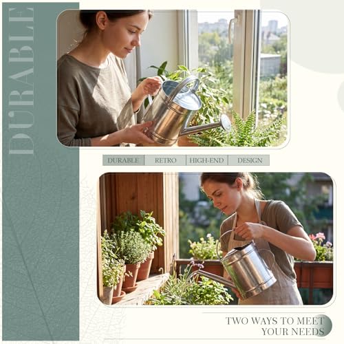 Geetery 2 Gallon Galvanized Metal Watering Can, Removable Spout,Silver