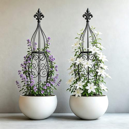 2-Pack Iron Garden Obelisk Trellis, 30" Rose Climbing Plant Support - color: Classic Fleur-de-Lis Obelisk Trellis