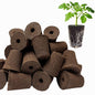 50 Pack Grow Sponges for Hydroponics - Replacement Pods