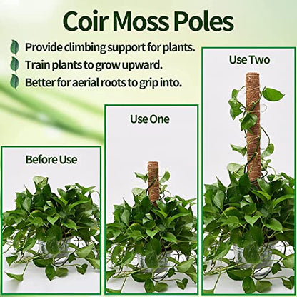 Eibikdi 101in Moss Pole for Plants Monstera 8 Pcs - size: 8 Packs