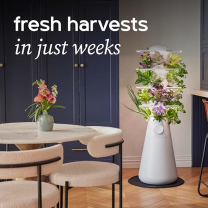Lettuce Grow Farmstand Nook | 4ft 7in Vertical Hydroponic Garden Tower
