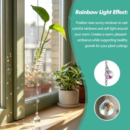 6Pcs Hanging Plant Propagation Station with Crystal Ball Prisms Suncatcher - color: Silver