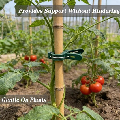 Plant Support Clips, 80 PCS, 2 Sizes