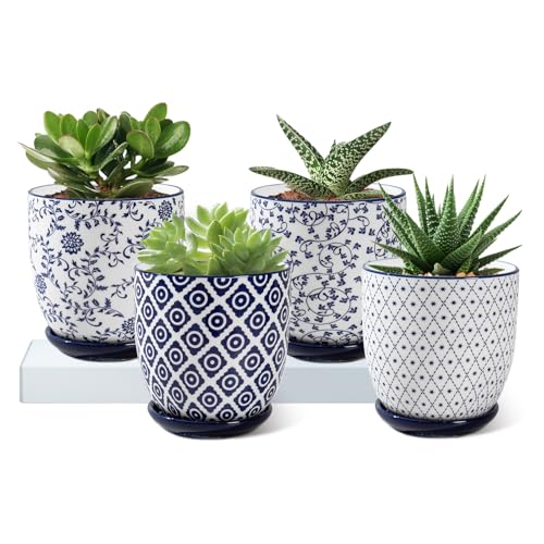 4.6 Inch Ceramic Small Succulent Planter Pots Set of 4 - size: 4.6 Inch