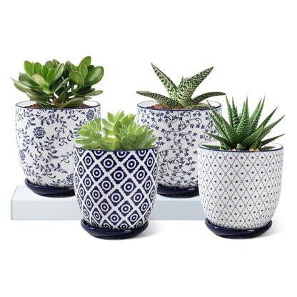 4.6 Inch Ceramic Small Succulent Planter Pots Set of 4 - size: 4.6 Inch