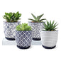 4.6 Inch Ceramic Small Succulent Planter Pots Set of 4 - size: 4.6 Inch