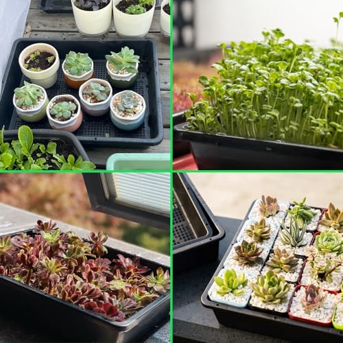 BeGrit Soil Blocking Trays 15x12 inch Seed Starter Trays 5 Pack Mesh Trays for Seedling, Microgreen, Soil Blocks, Wheatgrass - size: 15x12in 5-Pack
