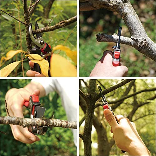Eden 39000 Heavy Duty Adjustable Anvil Pruning Shears for Gardening, Hand Pruners, Stem Cutter, Branch Trimmer, Garden Clippers - style: Adjustable