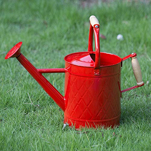 1 Gallon Red Metal Watering Can, Removable Spout - color: Red, size: 1 Gallon