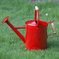 1 Gallon Red Metal Watering Can, Removable Spout - color: Red, size: 1 Gallon