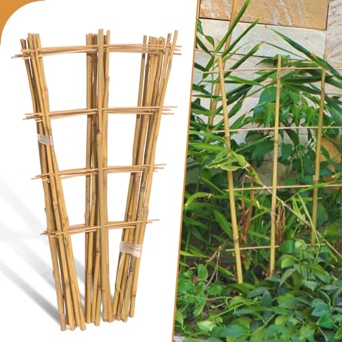 10 Pack 2ft Bamboo Trellis for Climbing Plants, Fan-Shaped Garden Support - size: 2 FT