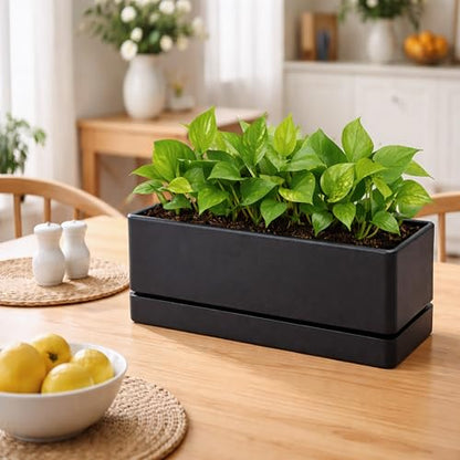 D'vine Dev 2-Pack Rectangular Planters, 12 x 4.5 in, Black, 76-X-B-2 - color: Black