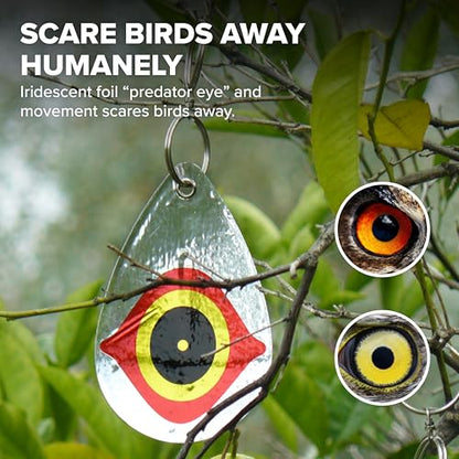 Bird B Gone Reflective Eye Bird Diverters, 5-Pack - size: 5 Pack