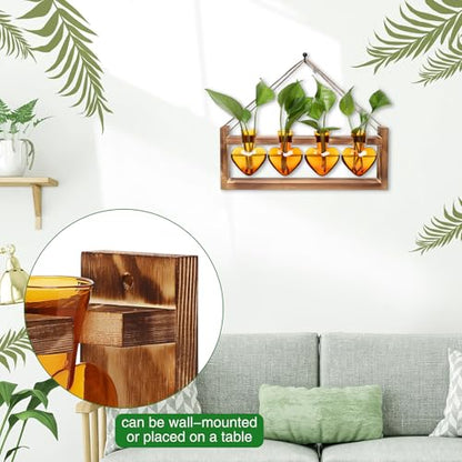 Plant Propagation Stations Heart Plant Terrarium Kit - color: Amber