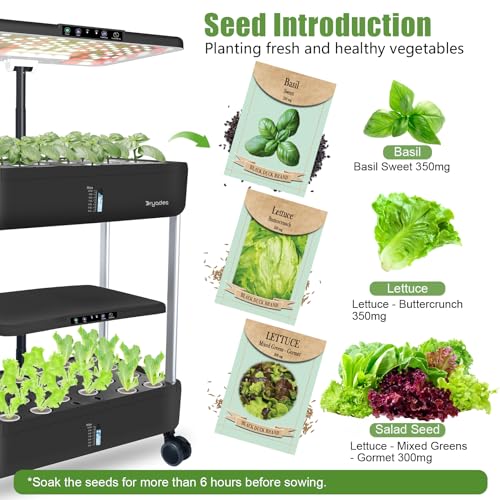 Large Hydroponics Growing System Kit,44-Pod with 3 Seed Packs - size: 2-Tier