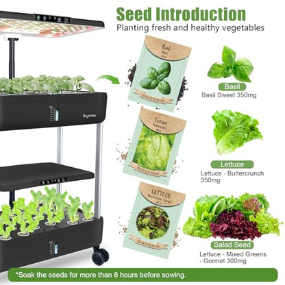 Large Hydroponics Growing System Kit,44-Pod with 3 Seed Packs - size: 2-Tier