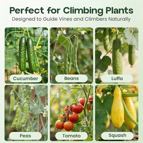 50x50 Cucumber Trellis for Raised Bed- A Frame Vegetable Garden Trellis