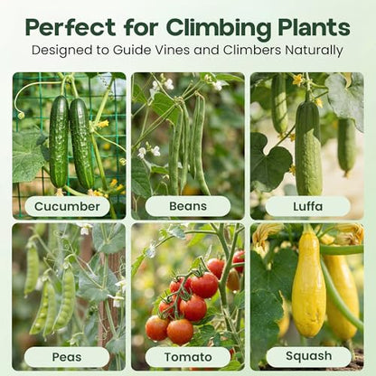 50x50 Cucumber Trellis for Raised Bed- A Frame Vegetable Garden Trellis