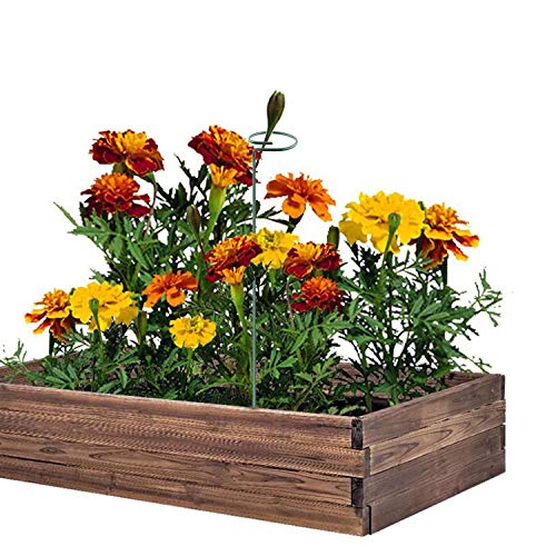 Plant Stake Support - 6 Pack, Garden Single Stem Support Stake 15.9 inch - size: 15.9inch