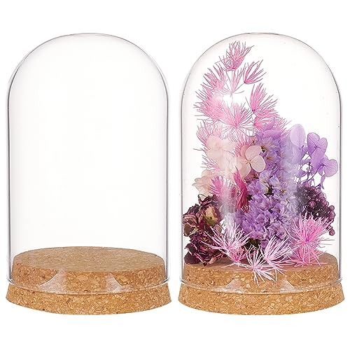 BENECREAT 2 Set Glass Display Dome with Cork Base, 3.14x4.6 inch Tabletop Centerpiece Cloche Bell Jar for Flower Plants, Specimens, Crafts Decorations, Inner Diameter: 76mm - size: 8x11.5cm