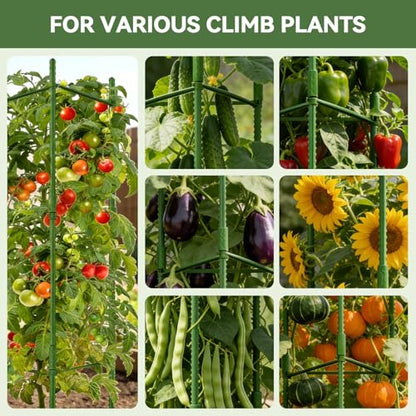 Halatool 2 Pack Tomato Cages for Garden, Up to 48in (4FT) Trellis - color: 2 Pack, size: 48 Inches