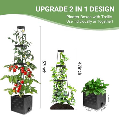 2 Pack Tomato Planter with Trellis 57 Inch Self Watering Pots Cage Boxes