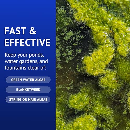 API POND ALGAEFIX Algae Control 64-Ounce Bottle (FF-169D) - size: 64-Ounce