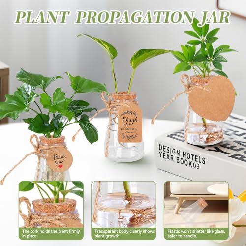 30 Pack Plant Propagation Stations, 3.35 in Shatterproof Plastic