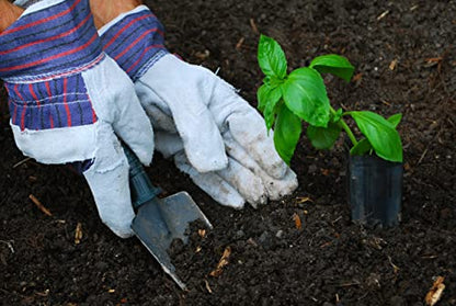 ATERET AG60 Work Gloves with Safety Cuff & Wing Thumb I 12 Pairs Glove Pack I Ideal Use for Lanscaping & Gardening - size: Pack of 36