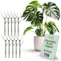 Twigs GA Stackable Plant Support Stakes, Moonstone, 10-Pack, 17" L - color: Moonstone, size: Stackable (10 Pack)
