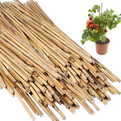 Suclain 100 Pcs Bamboo Plant Stakes Natural Garden Support Sticks,2 ft - size: 2 ft