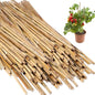 Suclain 100 Pcs Bamboo Plant Stakes Natural Garden Support Sticks,2 ft - size: 2 ft