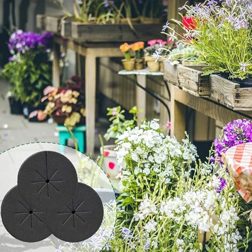 CHENJIN 40PCS 2 Inches Hydroponic Cloning Collar Water Absorbing Premium Grade Foam Fits Net Cups Inserts Hydroponic Growing Ring for DIY Seedling Box