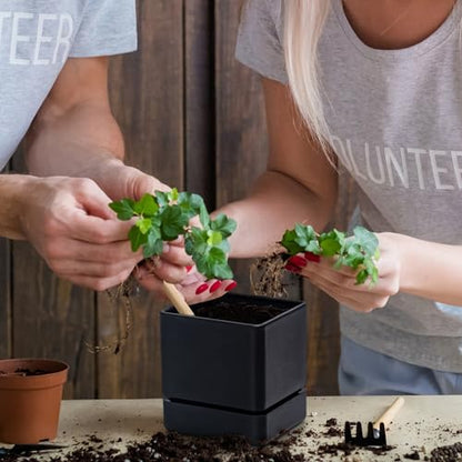 D'vine Dev 4-Pack Plastic Herb Planter Pots, 4 in, Black, 76-Y-B4-1 - color: Black, size: 16 Inch x 4.5 Inch